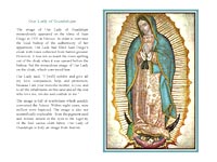 Our Lady of Guadalupe